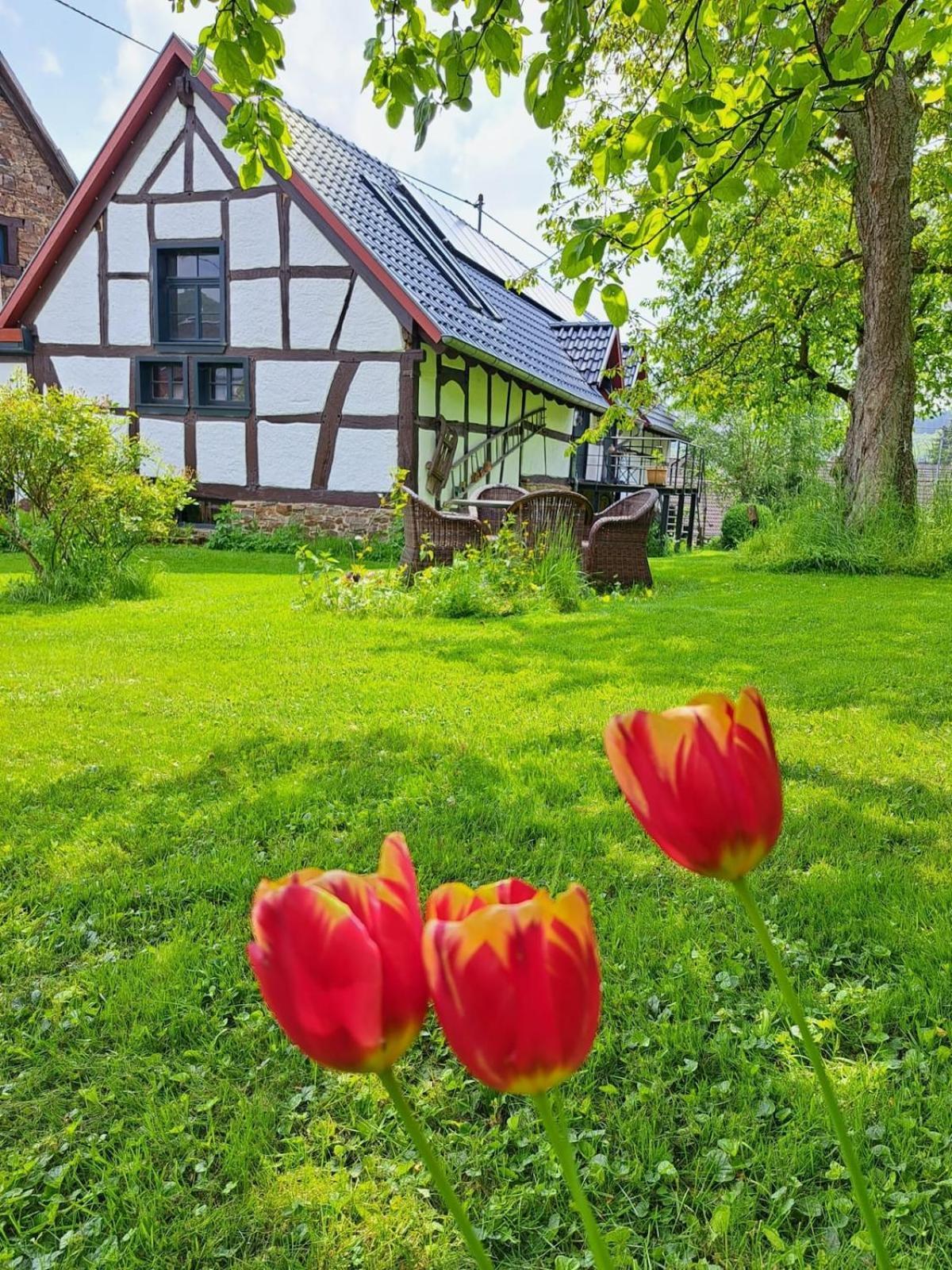 Landhaus Am Aremberg / Eifel Antweiler Exterior foto